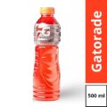 Gatorade Pizza Gourmet